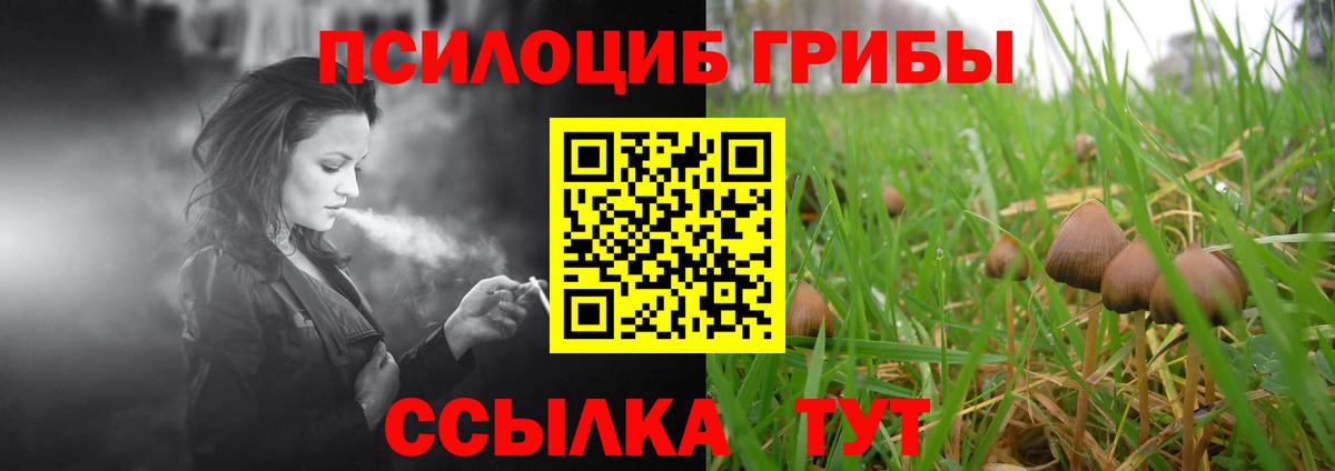 Галлюциногенные грибы мицелий  Галлюциногенные грибы Magic Shrooms  Можайск  Вход с VPN 